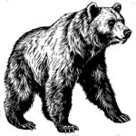 bearslairmontana.com icon