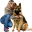 beastiality.club icon