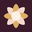 beautypages.com.br icon