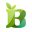 beautyproductmaufacturer.com icon