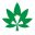 beaverbud.com icon
