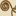 becster.org icon