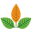 beeches.it icon