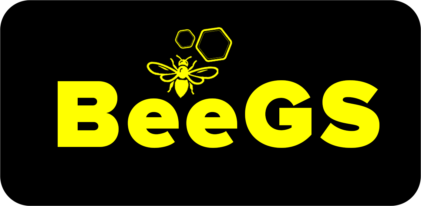 beeexcellent.co.tz icon