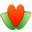 beeeyoung.com icon