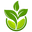 beejkart.com icon