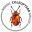 beetlebase.com icon