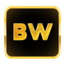 behindwoods.com logo