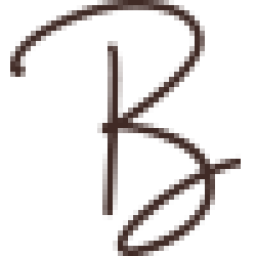 bellabambina.nl icon