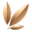 bellanoorskincare.com icon