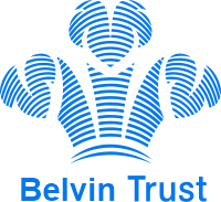 belvintrust.com favicon