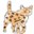 bengalcatclub.com icon