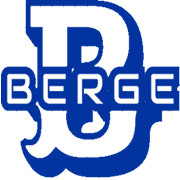 bergehost.com logo