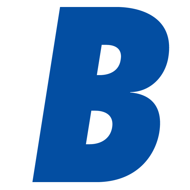 berglundcars.com icon