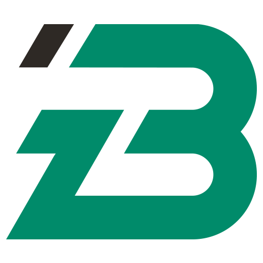 berizzi.it icon
