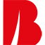 bernard-gruppe.com icon