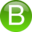bernardfixed.com icon