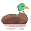 bernat.ch icon