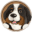 Bernies logo