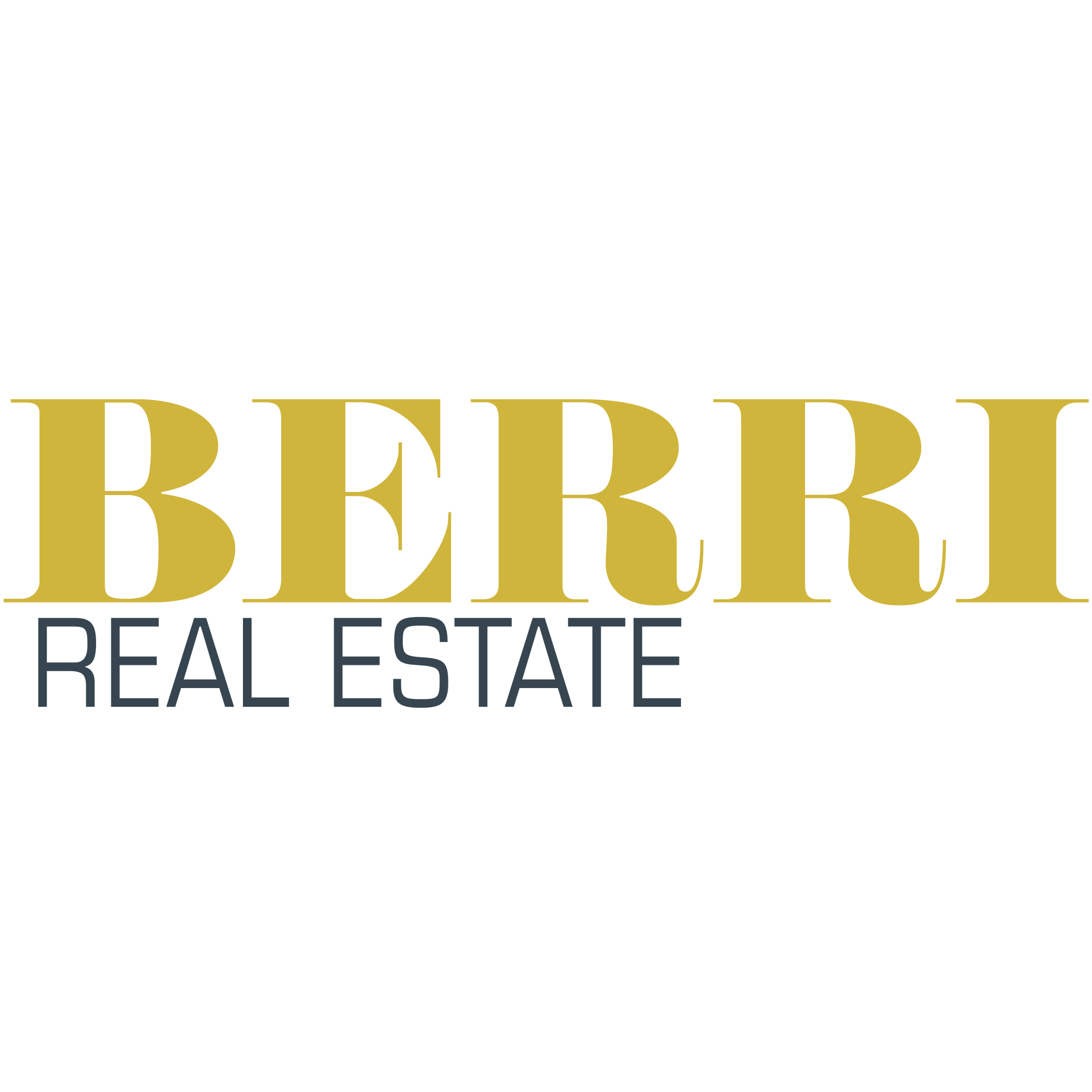 berrirealestate.com icon