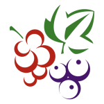 berrybrothers.nl icon