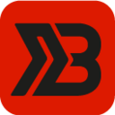 bertolinabikes.com logo