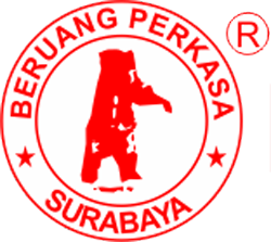 beruangperkasa.id icon