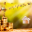 bestavto52.ru icon
