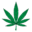 bestweedmaps.com icon