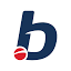 bet-cris.pl icon
