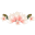 bethatwoman.org icon