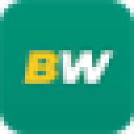 betwinner.bet icon