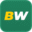 betwinner.global icon