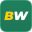betwinnercasinos.com icon