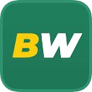 betwinnerug.com icon