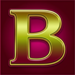 bewokwin-go.com icon