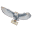 beyondhogwarts.com icon