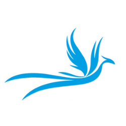 beyondsky.xyz icon