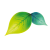 beyorganik.com icon