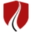 bezpieczniwruchu.pl icon