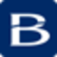 bfm-europe.com icon