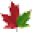 bgcanada.com icon