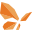 bgm.ca icon