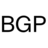 bgp.ch icon