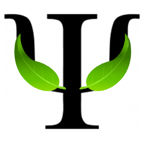 bhaflorida.com icon