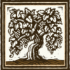 biale.com icon
