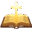biblegraces.com icon