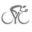 bicyclesinternationalfl.com icon