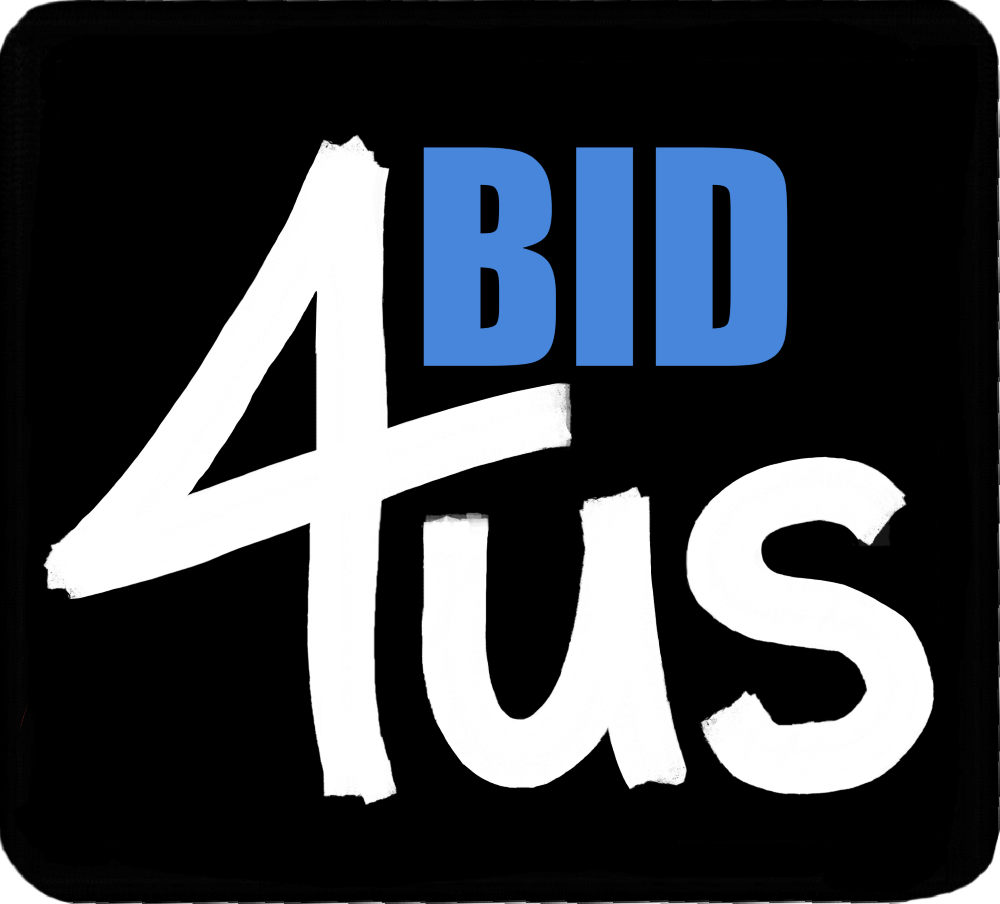 bid-4us.com icon