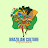 bienaldabahia.cv icon